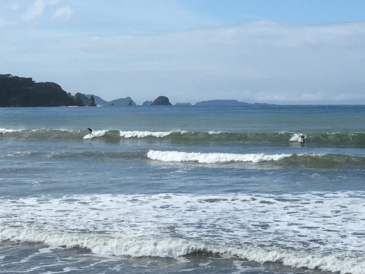 Waterfront Apartments Whitianga Bagian luar foto