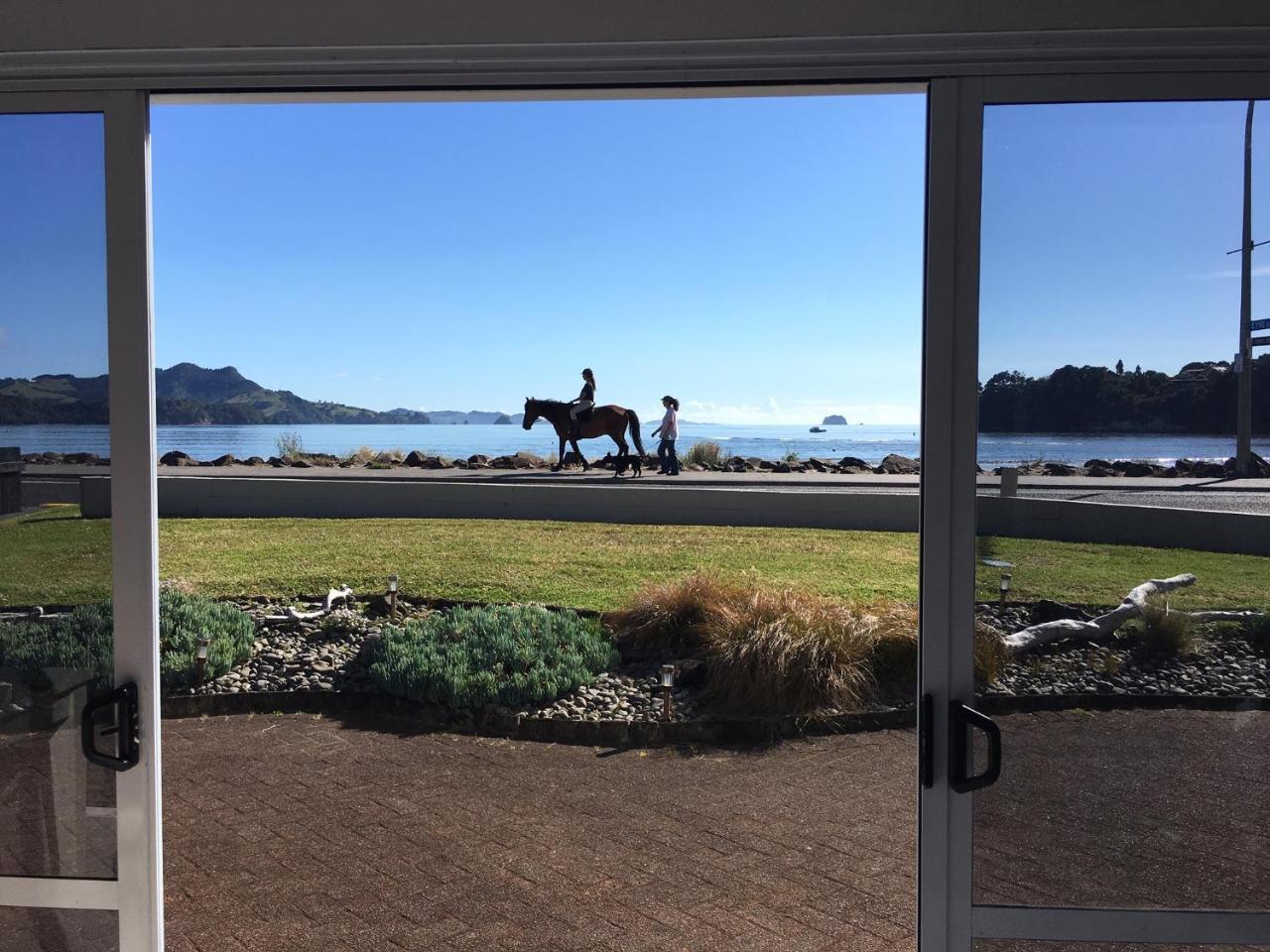 Waterfront Apartments Whitianga Bagian luar foto